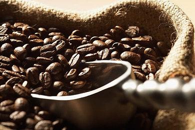 TGA创始人：几个大手笔收购案已经进入最后阶段